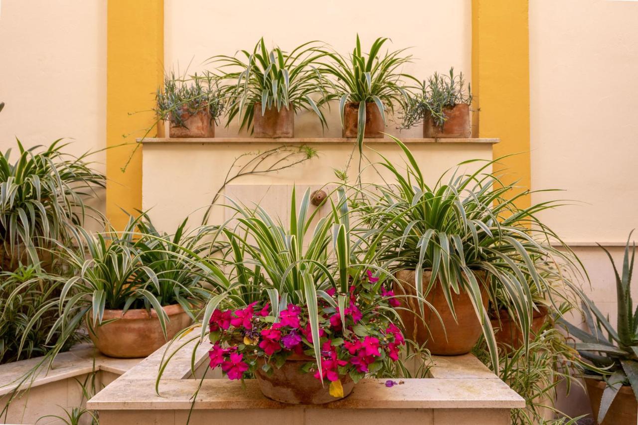Ohliving Triana Apartment Seville
